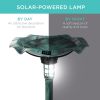Outdoor Solar Lighted Pedestal Bird Bath Fountain Decoration w/Planter, Integrated Panel, Scroll Accents for Lawn, Garden - Green
