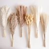110 PCS Dried Pampas Grass Bouquet, Boho Table Decor, Bunny Tails Dried Flowers, Brown Pompas, White Pampas Grass for Wedding, Home, Rustic Party