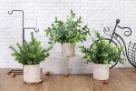 3 Pack Potted Fake Plants Artificial Plastic Eucalyptus Plants Centerpieces for Table Home Office Desk Accessories Farmhouse Room Classroom Decor