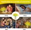 Birthday Gifts for Women Mom,18 Inch Wheat Stalks Decor Table Lamp,Rechargeable Touch Flower Lamps,3-Colour Dimming Night Light