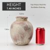 Ceramic Decorative Flower Vase | 7.48 Inch Pottery Rustic Farmhouse Boho Vase for Home Decor, Table, Living Room, Bathroom, Coffee Desk, Shelf