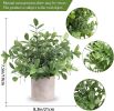 3 Pack Potted Fake Plants Artificial Plastic Eucalyptus Plants Centerpieces for Table Home Office Desk Accessories Farmhouse Room Classroom Decor