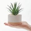 Artificial Succulent Plants in Ceramic Pots, Faux Assorted Succulents Fake Cactus Plants for Home Decor, Bedroom, Office, Desk, Living Room, Set of 3