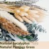 Green Pampas Grass Boho Bouquet Exquisite Lavender and Eucalyptus Dried Flower Arrangements for Western Boho Decor Rustic Flowers for Your Bohemian Ho