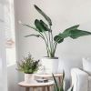 2 Pack Small Fake Plants Christmas Plants Eucalyptus Potted Artificial Plants for Home Indoor Fireplace Mantel Shelf Desk Home Bathroom Farmhouse Room