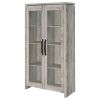 Myerson Grey Driftwood 2-Door Engineered Wood Tall Cabinet